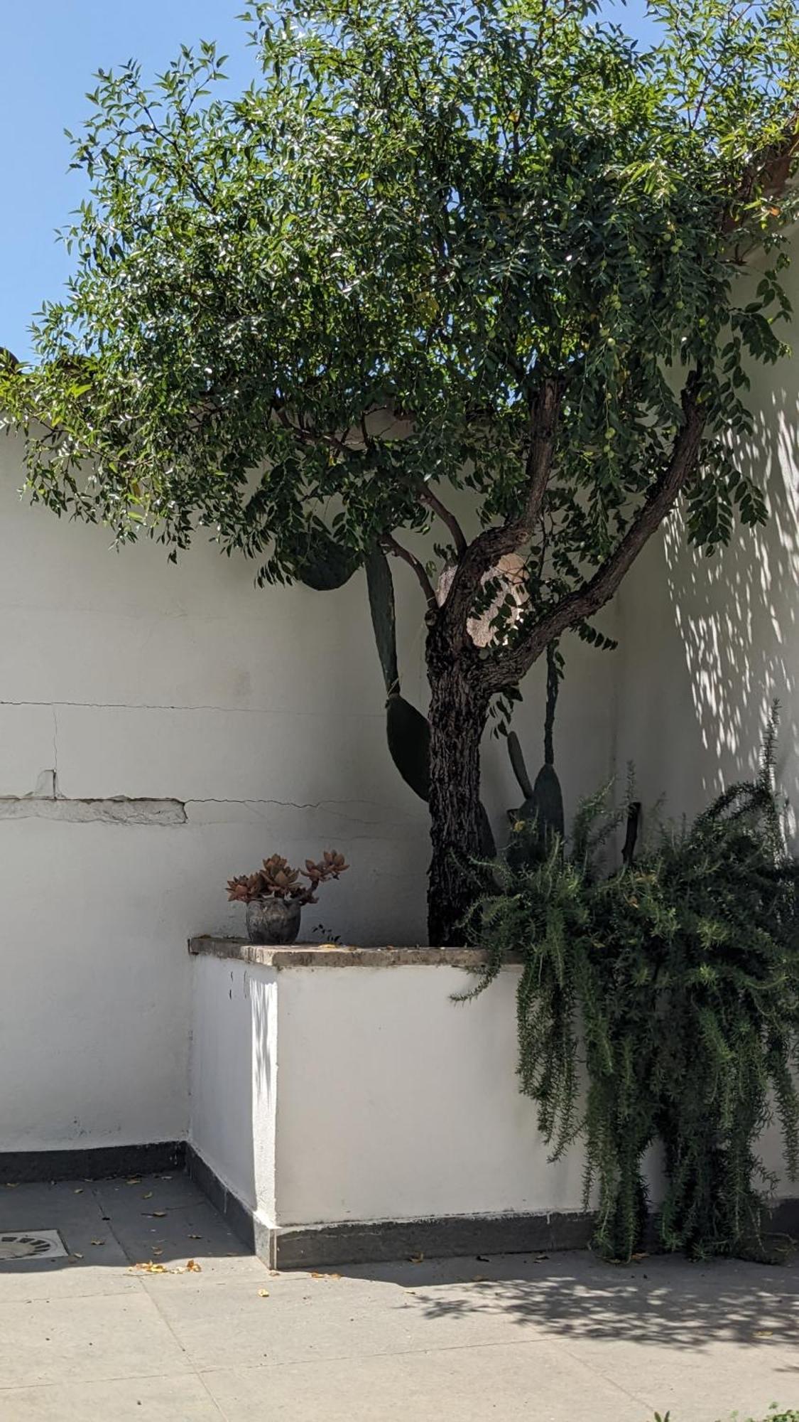 Appartamento The Cosy Nest Pignataro Maggiore Esterno foto